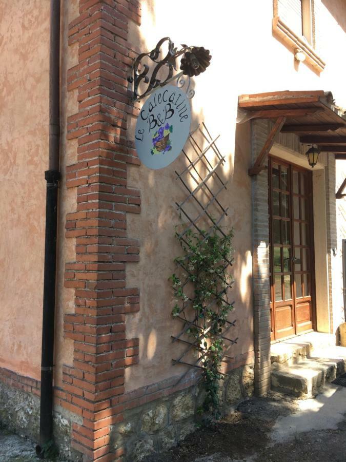 Bed & Breakfast Calecatine *